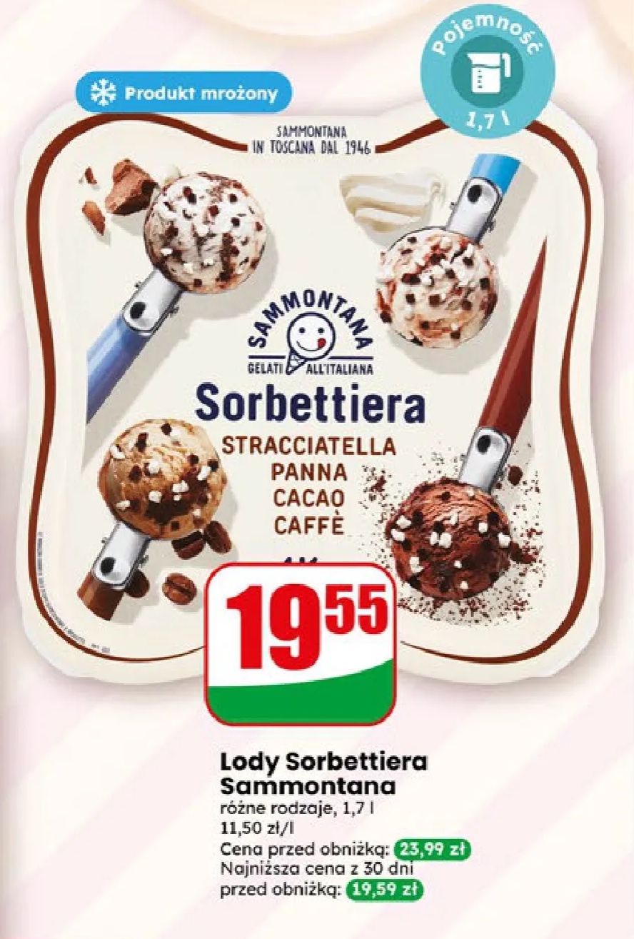 lody różne rodzaje