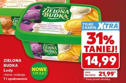 lody różne rodzaje